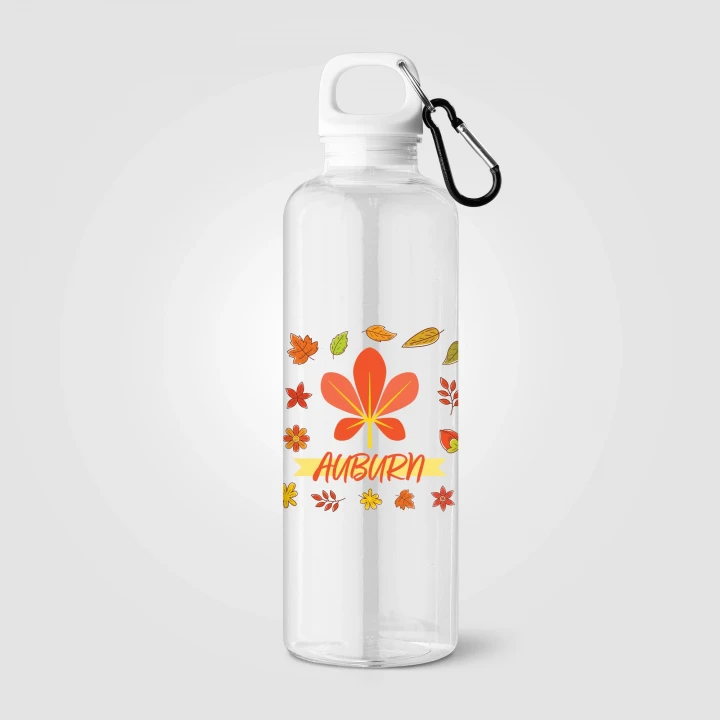 Doli rPET Carabiner Clip Screw-Top Bike Bottle 740ml