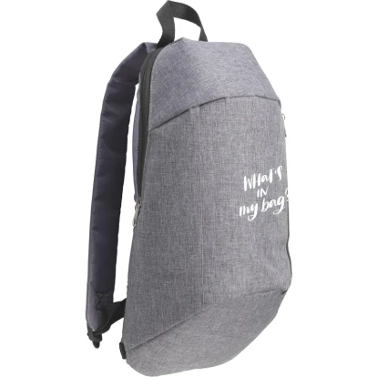 Cooler backpack 
