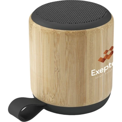 Bamboo wireless speaker