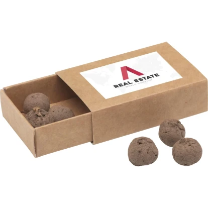 Seed Balls mini-eco system