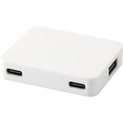 Gaia 4-Port USB Hub With USB-A And Type-C Output Dual Input 