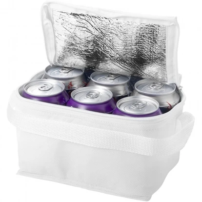 Spectrum 6-Can Cooler Bag 4L