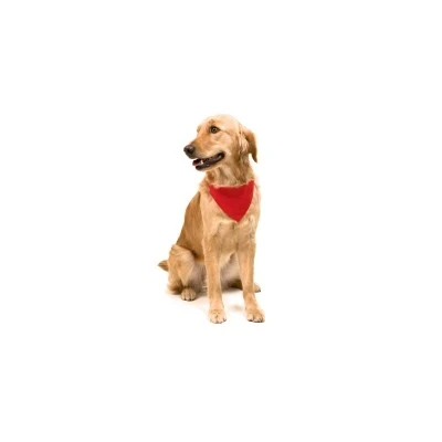 Dog Bandana