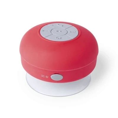Speaker