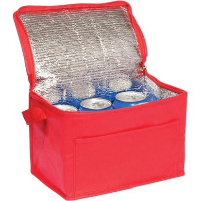 Rainham 6 Can Cooler