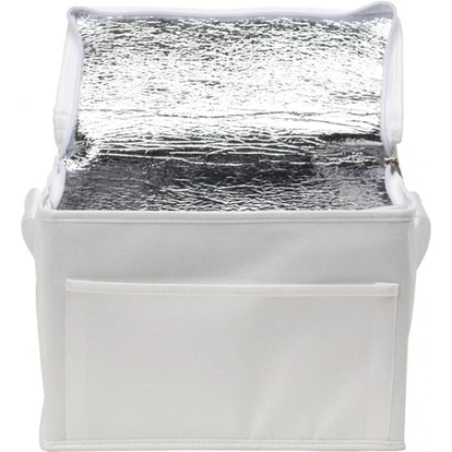 Rainham 6 Can Cooler