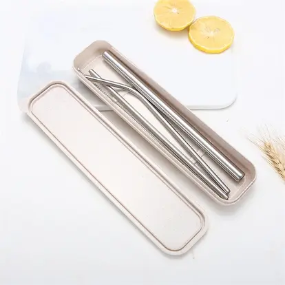 Steel Straw with Brush Box Kit