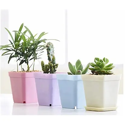 Colorful Square Plastic Plant Pot