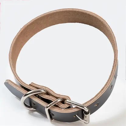 Collars Luxury Leather Padded Dog Collar