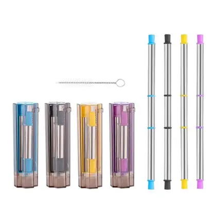 Collapsible Stainless Steel Straw Kit