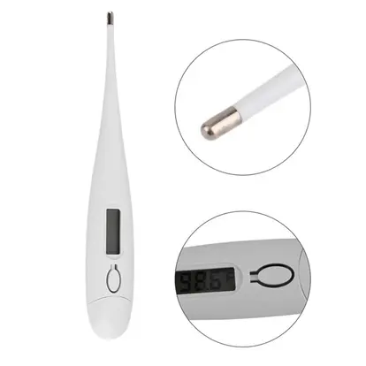 Accurate Reading Digital Body Thermometer