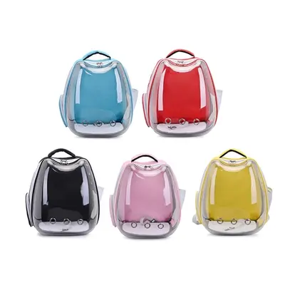 Transparent Pet Carrier