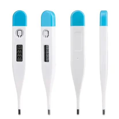 Digital Thermometer