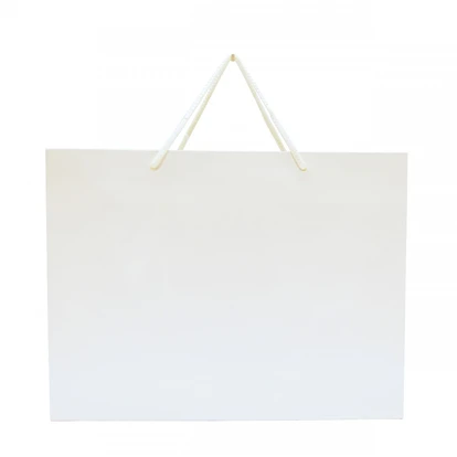 Walton Large Gloss Laminated Paper Carrier Bag