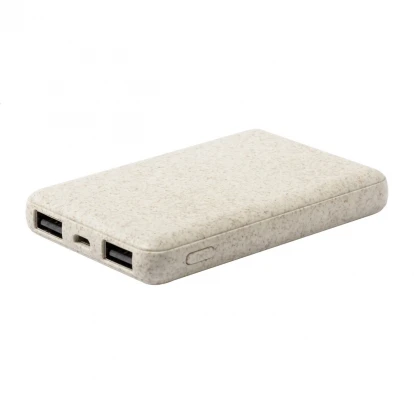 Durum Power Bank