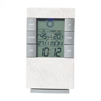 Florida Weather Station