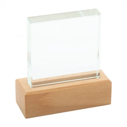 Rectofi Glass Trophy