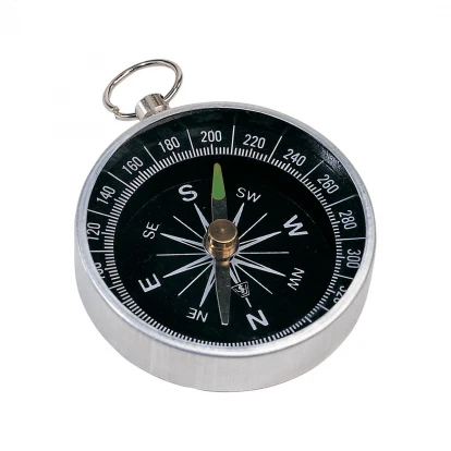 Nansen Compass