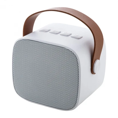 Rabeat RABS Bluetooth Speaker