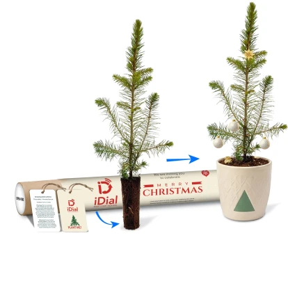 Mini Christmas Tree