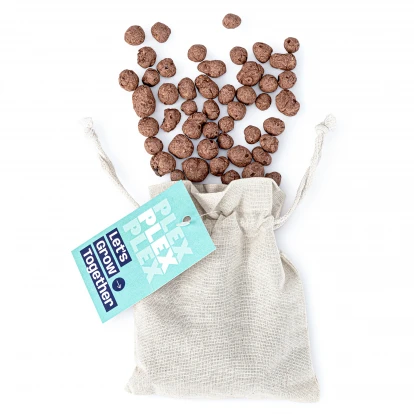 Van Shaped Seed Bombs - Bag