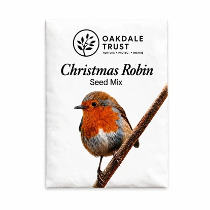 Christmas Robin Bird Seed