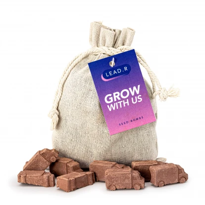 Seed Ball - Bag