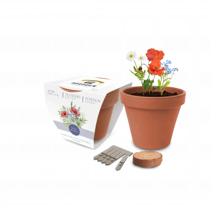 Super Express Essentials Clay Pot Gardens 