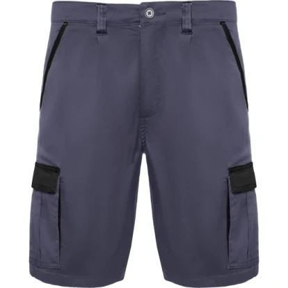 Tahoe 250 g/m2 workwear shorts