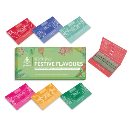 Seed Gift Bars - Festive Flavours Seedsticks