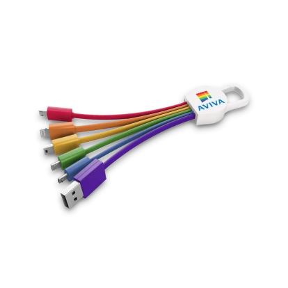 Carabiner USB Charging Cable
